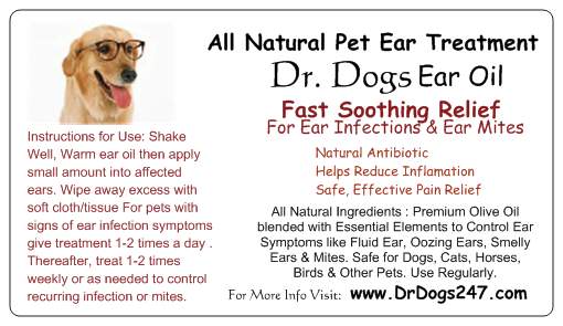 Ear infection treatment ear mites dogs cats ears