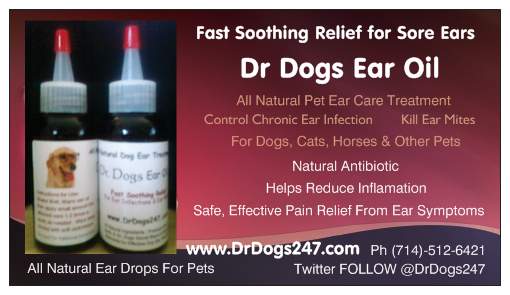 Ear Medication for Dogs, Cats, Animals